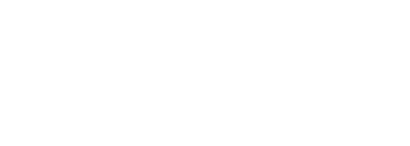 Team 17
