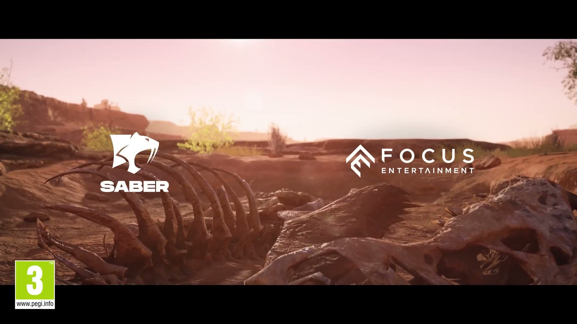 Focus Entertainment